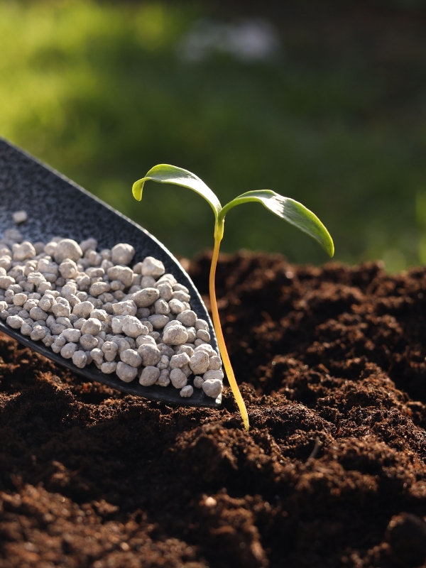 Ricerca per sviluppo fertilizzanti Udine
